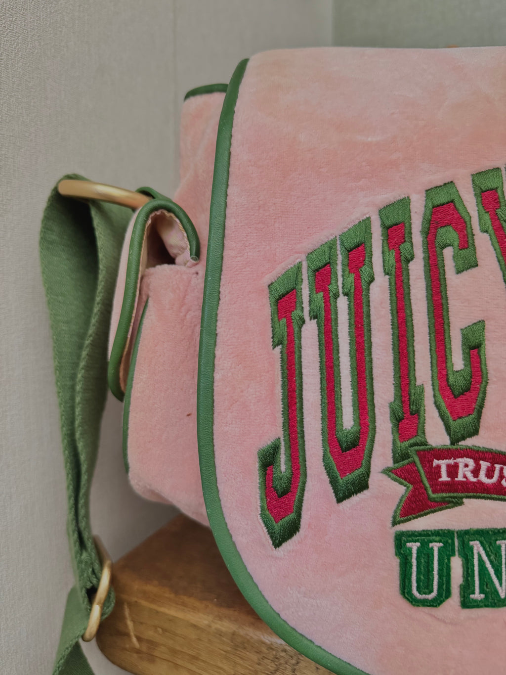 rare y2k vintage pink and green velour luxury Juicy Couture trustfund generation crossbody bag