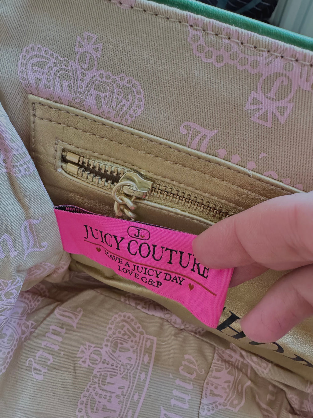rare y2k vintage pink and green velour luxury Juicy Couture trustfund generation crossbody bag