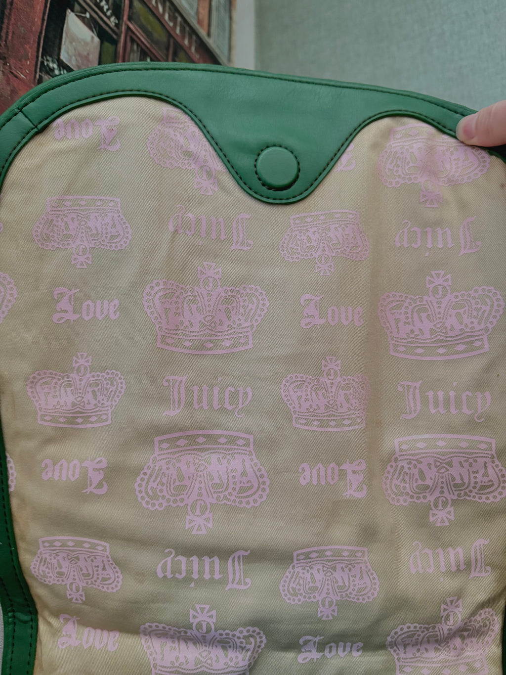 rare y2k vintage pink and green velour luxury Juicy Couture trustfund generation crossbody bag